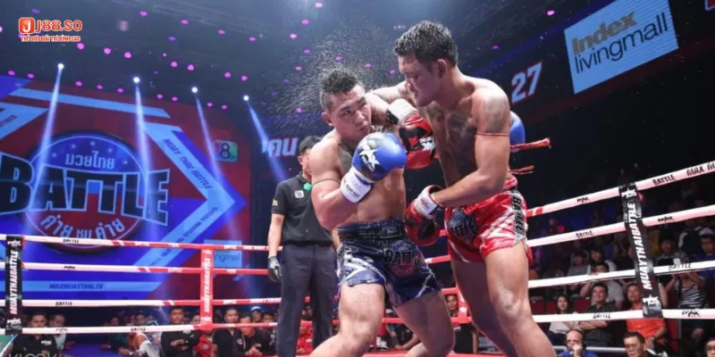 Chia sẻ kinh nghiệm cá cược boxing từ những tay cược chuyên nghiệp