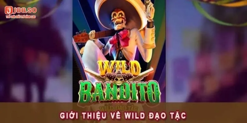 Tìm hiểu chi tiết về game wild đạo tặc 