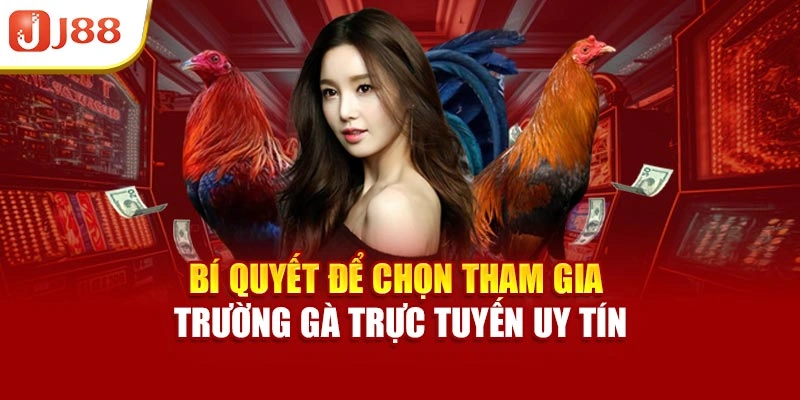Bí quyết để chọn tham gia trường gà trực tuyến uy tín