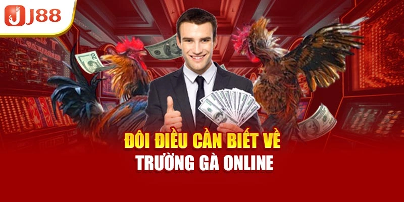 Đôi điều cần biết về trường gà online