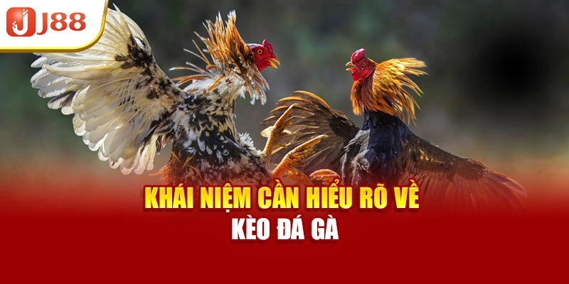 Khái niệm cần hiểu rõ về kèo đá gà